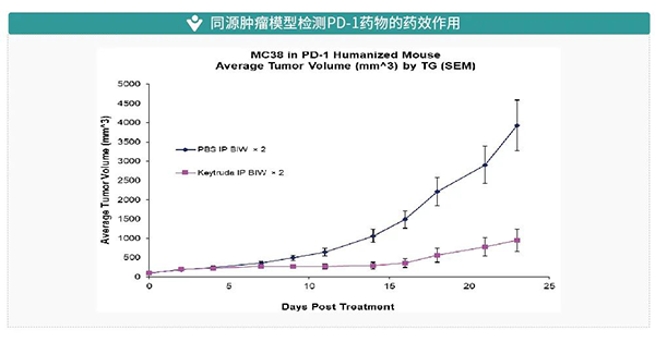 同源肿瘤模型检测PD-1药物的药效作用.png 同源肿瘤模型检测PD-1药物的药效作用.png