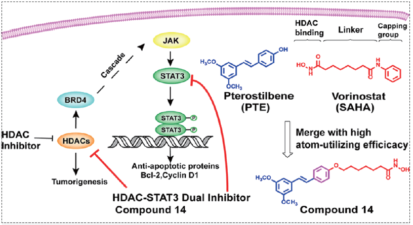 HDAC-BRD4-LIFR-JAK-STAT3信号级联反应.png HDAC-BRD4-LIFR-JAK-STAT3信号级联反应.png