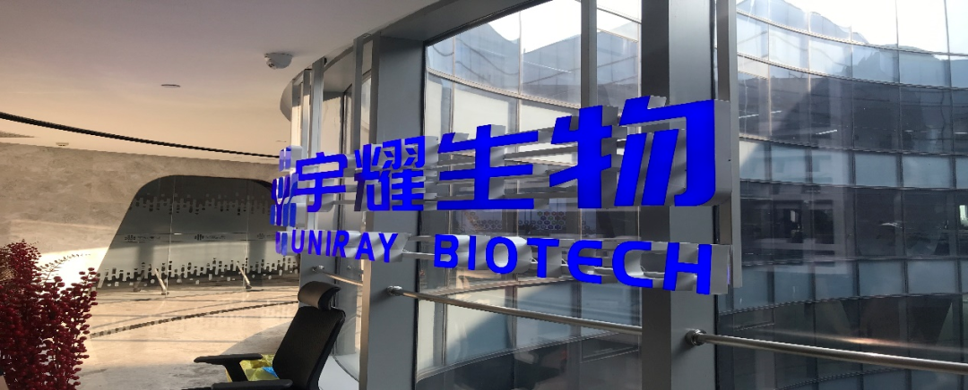 世界杯官网助力 | 宇耀生物STAT3双磷酸化位点抑制剂YY201成功完成中美双报