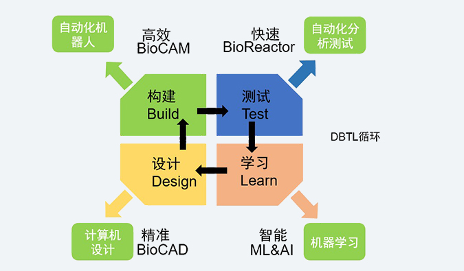 合成生物学服务平台.jpg 合成生物学服务平台.jpg
