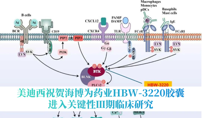 破解耐药性难题，世界杯官网祝贺海博为药业HBW-3220胶囊进入关键性Ⅲ期临床研究